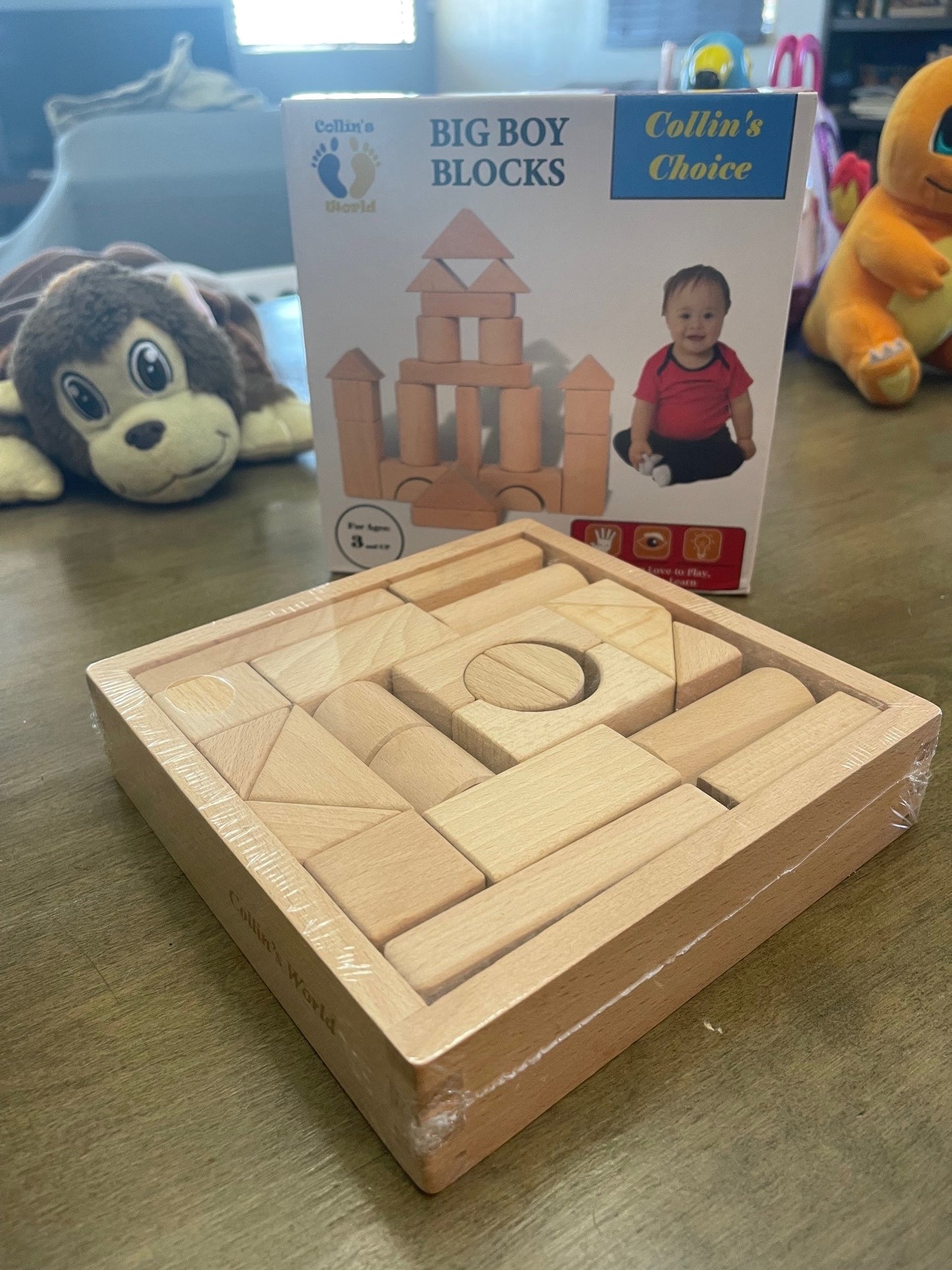 Collin's Choice: Big Boy Blocks (22 Pcs)